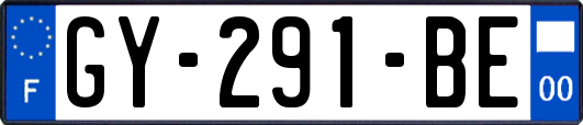 GY-291-BE