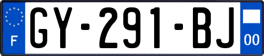 GY-291-BJ