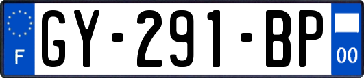GY-291-BP