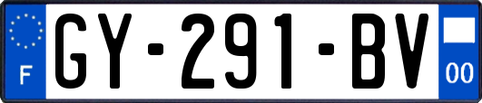 GY-291-BV