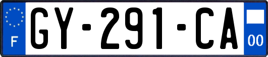 GY-291-CA