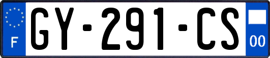 GY-291-CS
