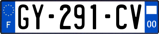 GY-291-CV