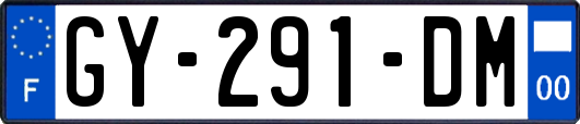GY-291-DM