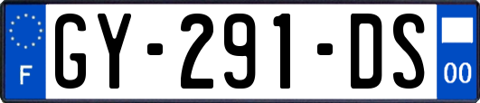 GY-291-DS