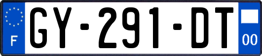 GY-291-DT