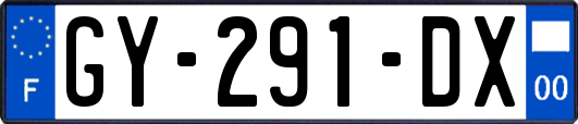 GY-291-DX
