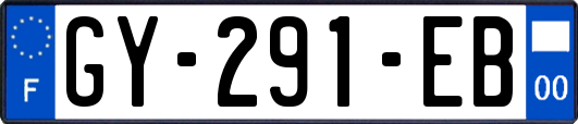 GY-291-EB