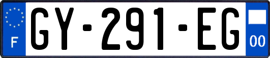 GY-291-EG