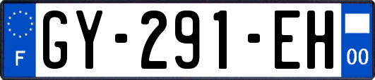 GY-291-EH