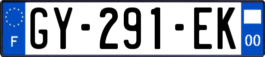 GY-291-EK
