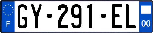 GY-291-EL