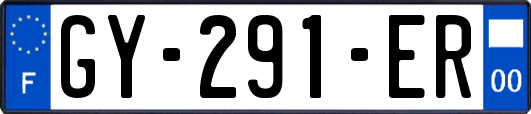 GY-291-ER