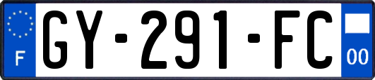GY-291-FC