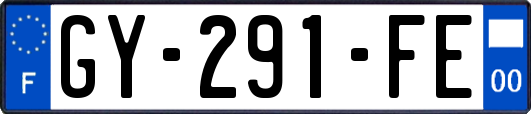 GY-291-FE