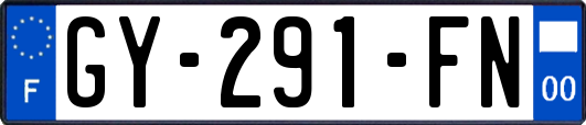 GY-291-FN