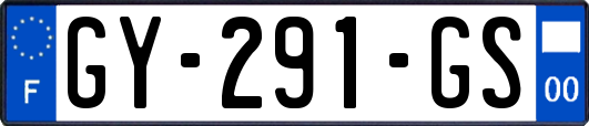 GY-291-GS