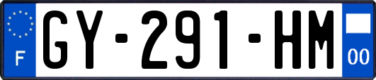 GY-291-HM