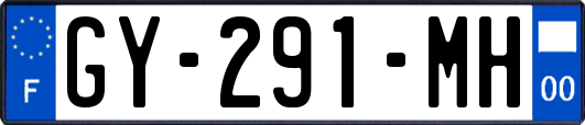 GY-291-MH