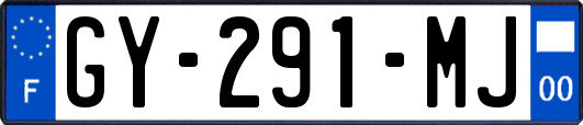 GY-291-MJ