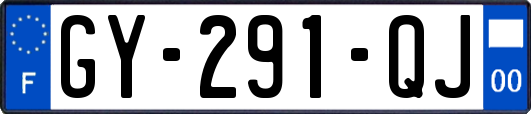 GY-291-QJ