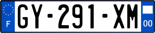 GY-291-XM