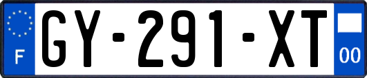 GY-291-XT