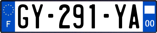 GY-291-YA