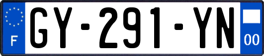 GY-291-YN
