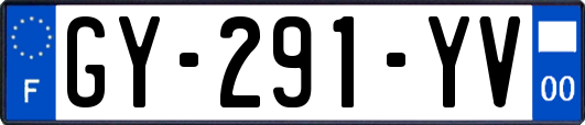 GY-291-YV