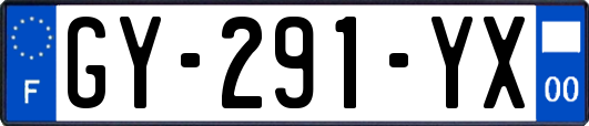 GY-291-YX