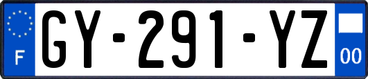 GY-291-YZ
