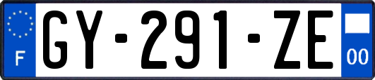 GY-291-ZE