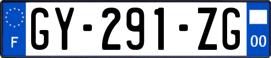 GY-291-ZG