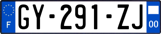 GY-291-ZJ