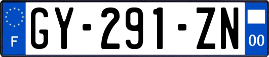 GY-291-ZN