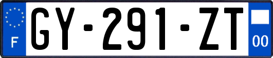 GY-291-ZT