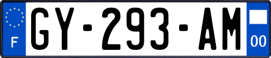 GY-293-AM