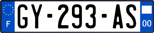 GY-293-AS