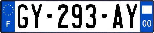 GY-293-AY