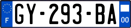 GY-293-BA