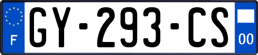 GY-293-CS