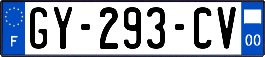 GY-293-CV