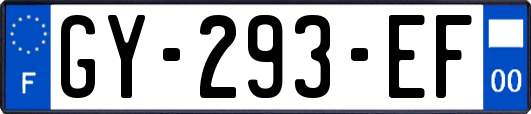 GY-293-EF