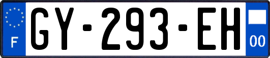 GY-293-EH
