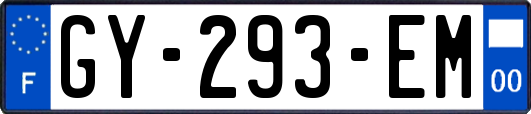 GY-293-EM