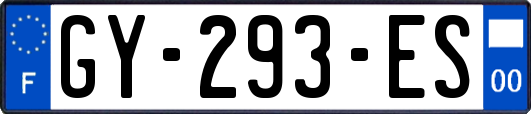 GY-293-ES