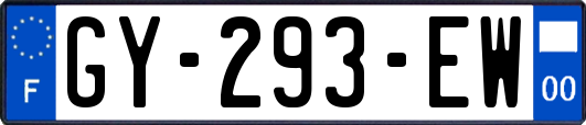 GY-293-EW