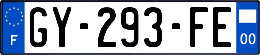 GY-293-FE