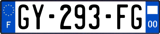 GY-293-FG